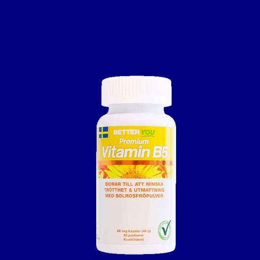 Premium Vitamin B5, 60 kaps